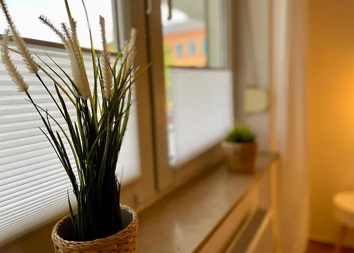 Apartamento Bamboo Downtown *